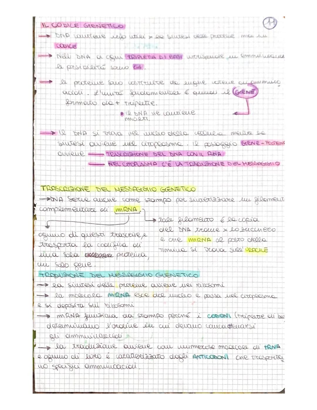 
<p>Gli acidi nucleici, il DNA e l'RNA, sono composti dai nucleotidi che consistono in una base azotata, uno zucchero al carbonio e un grupp