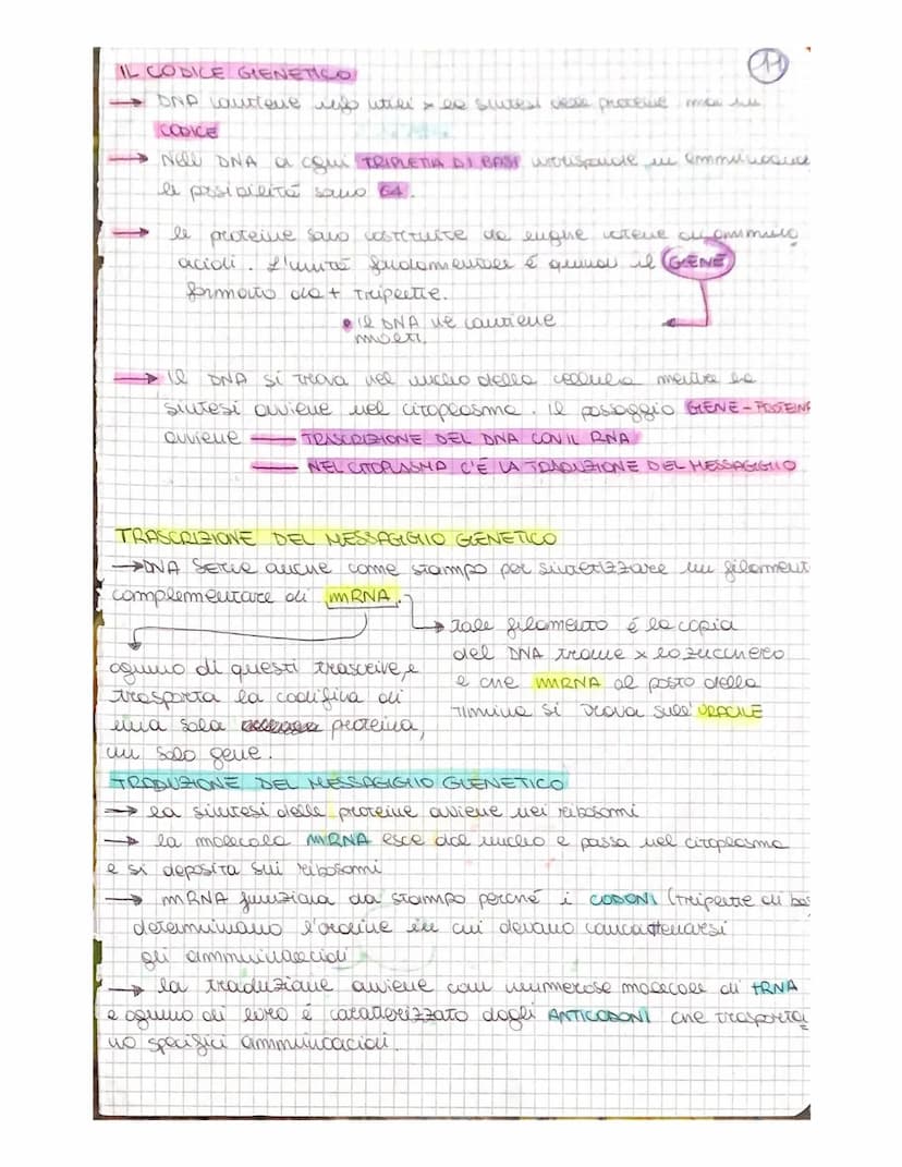 
<p>Gli acidi nucleici, il DNA e l'RNA, sono composti dai nucleotidi che consistono in una base azotata, uno zucchero al carbonio e un grupp