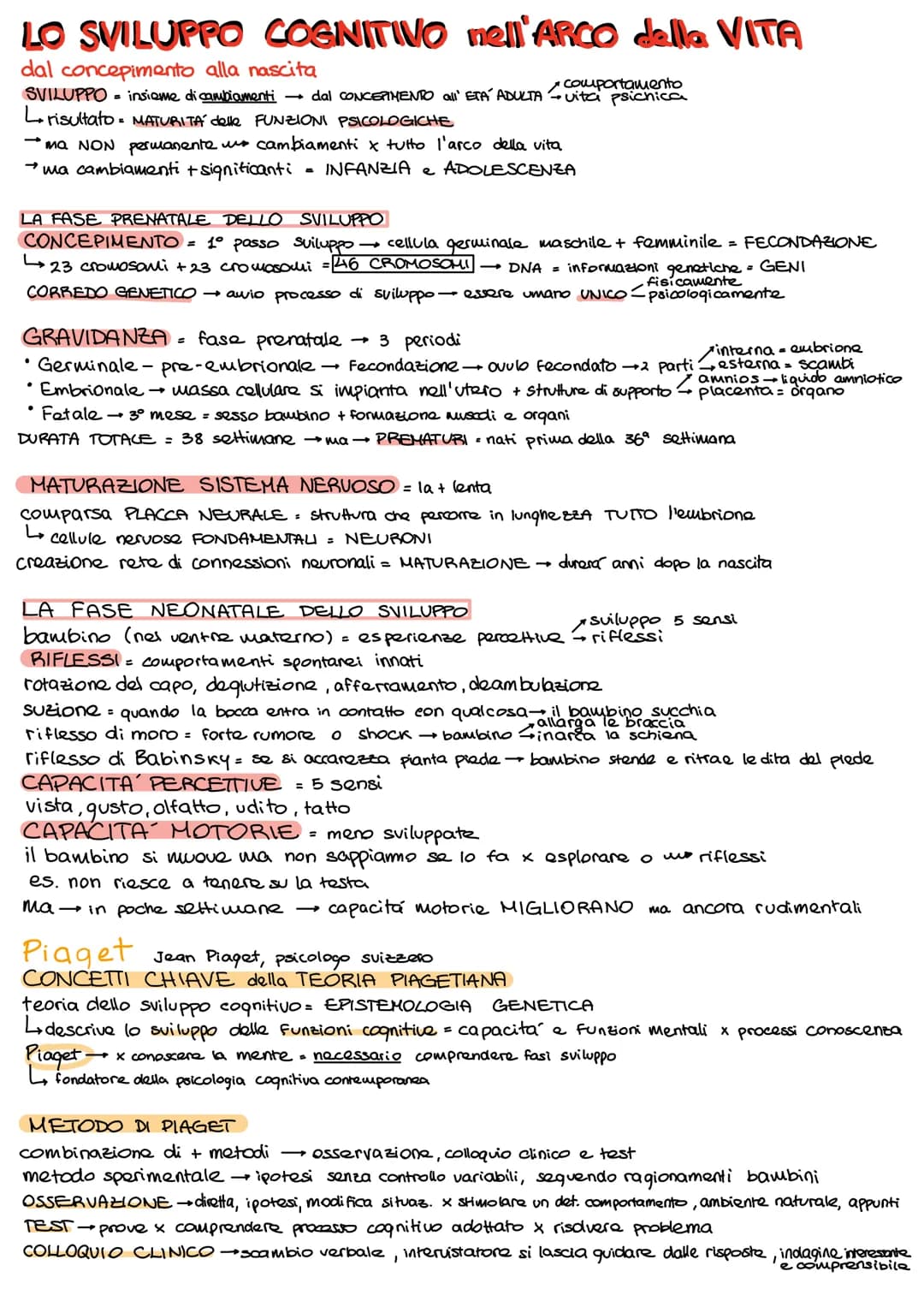 LO SVILUPPO COGNITIVO nell'ARCO della VITA
dal concepimento alla nascita
SVILUPPO = insieme di cambiamenti
dal CONCEPIMENTO all' ETÁ ADULTA
