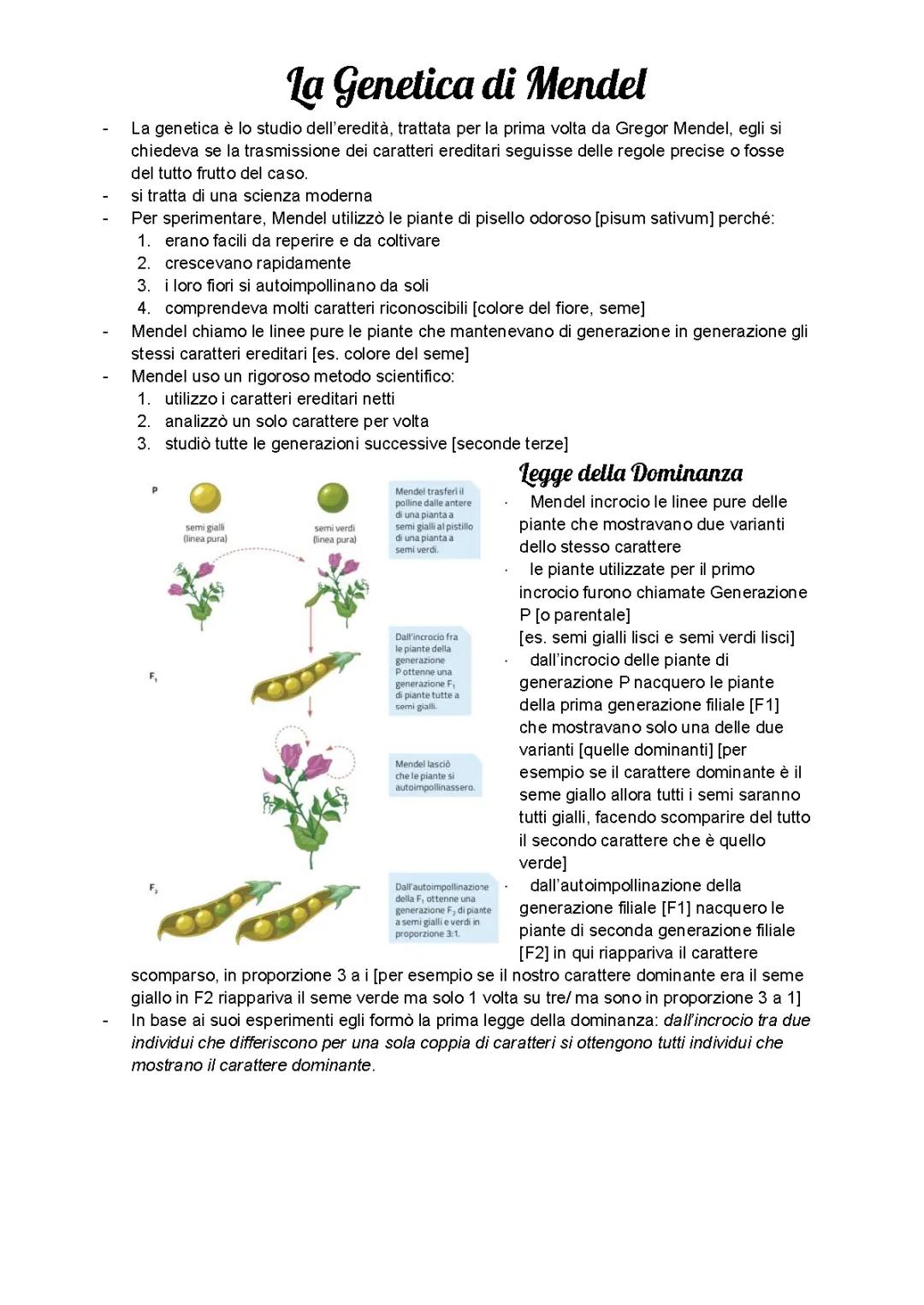 Scopri la genetica di Mendel: Principi e Leggi