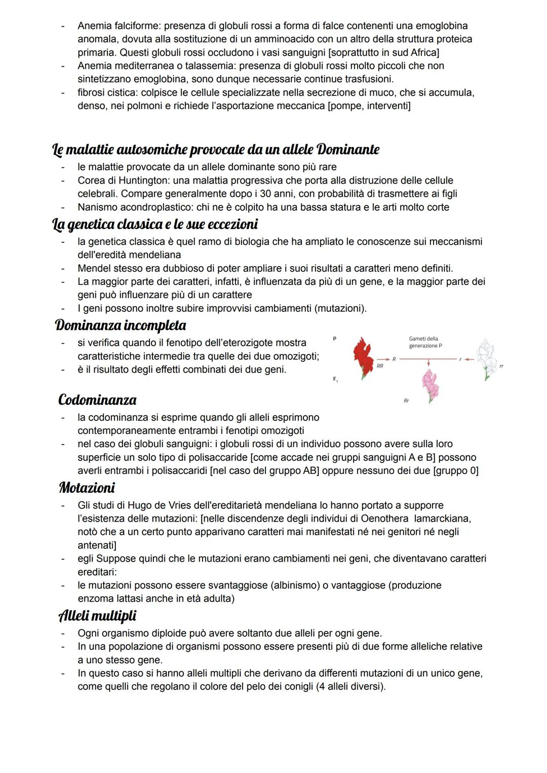 la Genetica di Mendel
La genetica è lo studio dell'eredità, trattata per la prima volta da Gregor Mendel, egli si
chiedeva se la trasmission
