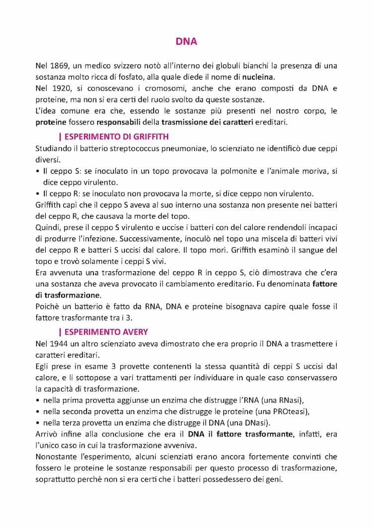 Know DNA, traduzione, trascrizione, duplicazione thumbnail