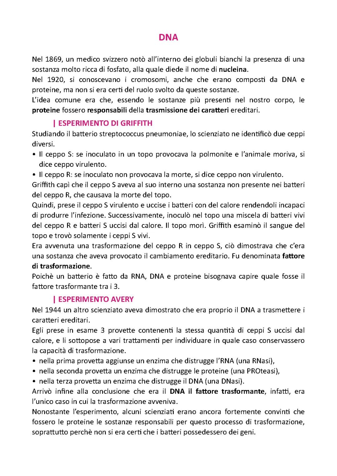 Scopri gli Esperimenti di Avery, Griffith e Hershey: Trasformazione Batterica e DNA in Parole Semplici