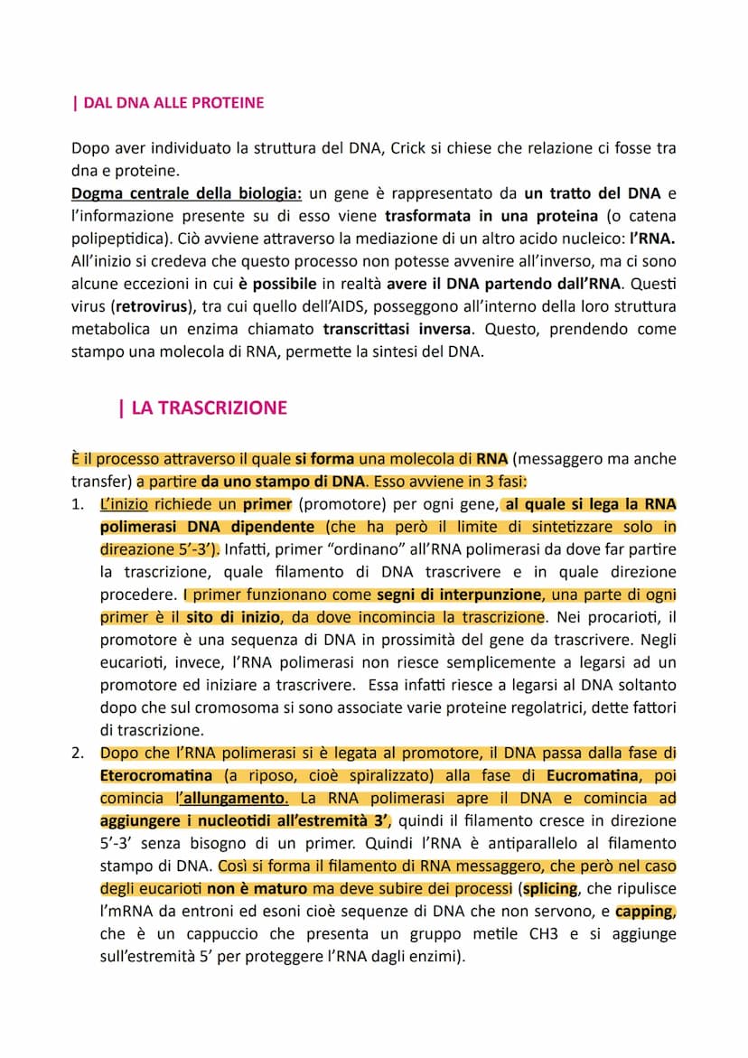 DNA
Nel 1869, un medico svizzero notò all'interno dei globuli bianchi la presenza di una
sostanza molto ricca di fosfato, alla quale diede i