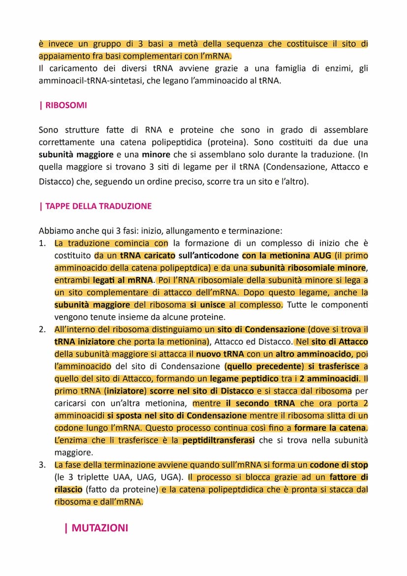 DNA
Nel 1869, un medico svizzero notò all'interno dei globuli bianchi la presenza di una
sostanza molto ricca di fosfato, alla quale diede i