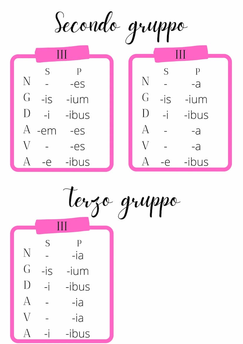 Declinazioni Laitine
S
P
-a -ae
-ae -arum
-is
-as
-ae
-is
N
G
D
-ae
A -am
V
-a
A
-a
S
-US
-i
P
gebze
-i
N
G
-orum
D
-O
-is
A -um -OS
V
-e
-i