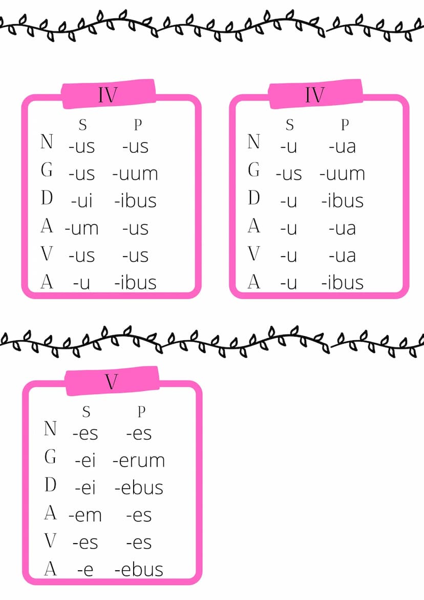Declinazioni Laitine
S
P
-a -ae
-ae -arum
-is
-as
-ae
-is
N
G
D
-ae
A -am
V
-a
A
-a
S
-US
-i
P
gebze
-i
N
G
-orum
D
-O
-is
A -um -OS
V
-e
-i