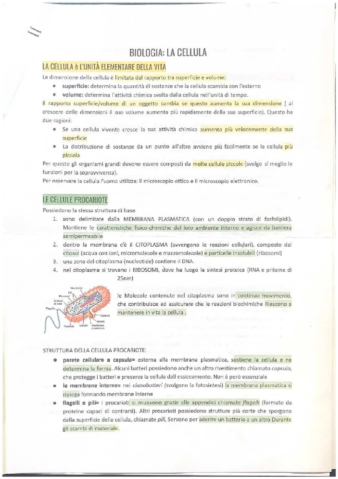 la cellula