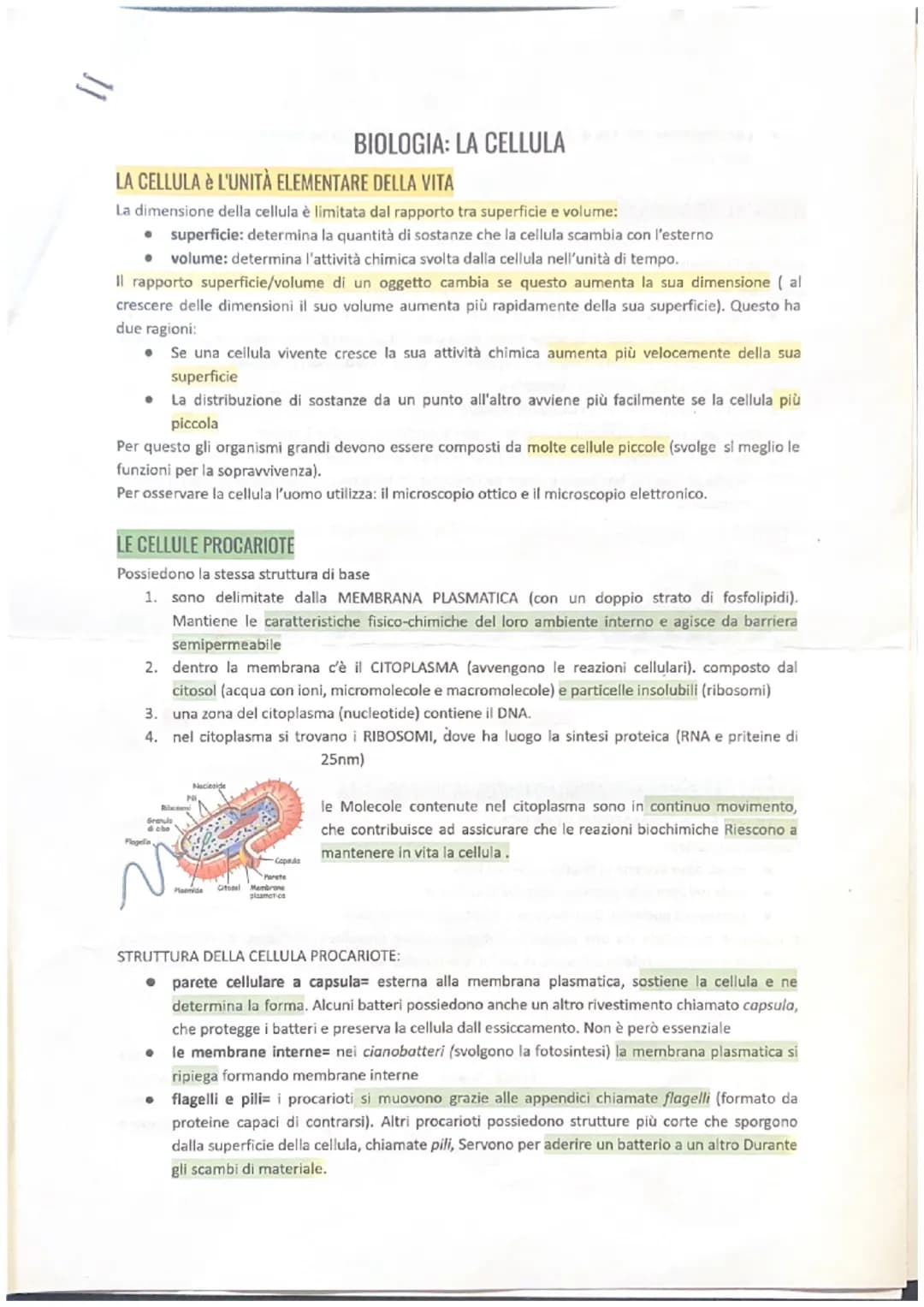 11
LA CELLULA è L'UNITÀ ELEMENTARE DELLA VITA
La dimensione della cellula è limitata dal rapporto tra superficie e volume:
• superficie: det