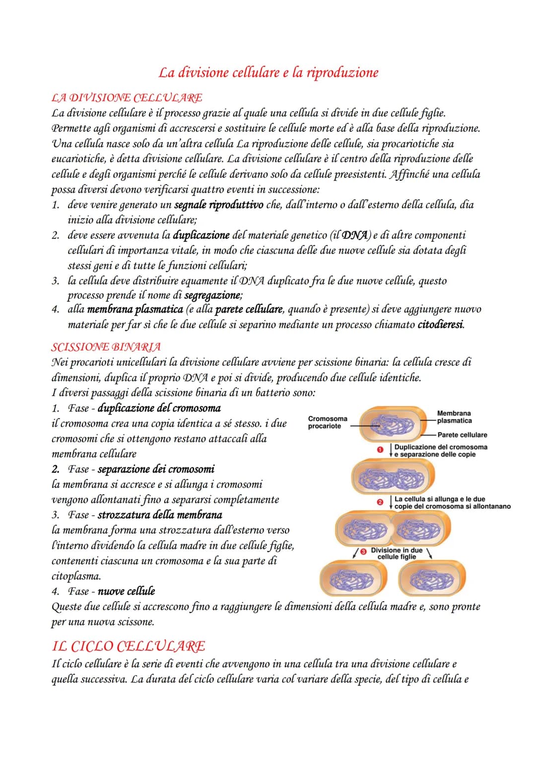 La divisione cellulare e la riproduzione
LA DIVISIONE CELLULARE
La divisione cellulare è il processo grazie al quale una cellula si divide i