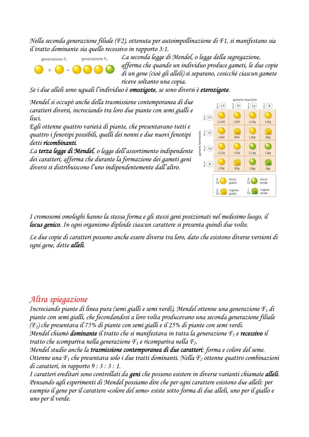 La divisione cellulare e la riproduzione
LA DIVISIONE CELLULARE
La divisione cellulare è il processo grazie al quale una cellula si divide i