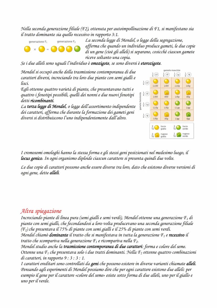 La divisione cellulare e la riproduzione
LA DIVISIONE CELLULARE
La divisione cellulare è il processo grazie al quale una cellula si divide i