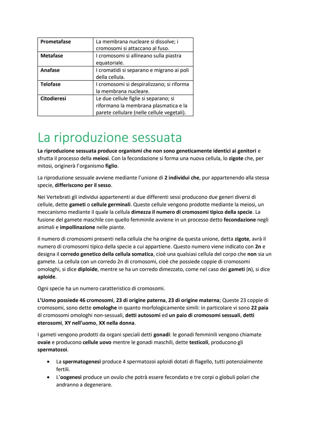 Ciclo cellulare
Insieme di eventi compresi tra la nascita di una cellula eucariote e la sua divisione in
cellule figlie
Interfase:
1. Fase G