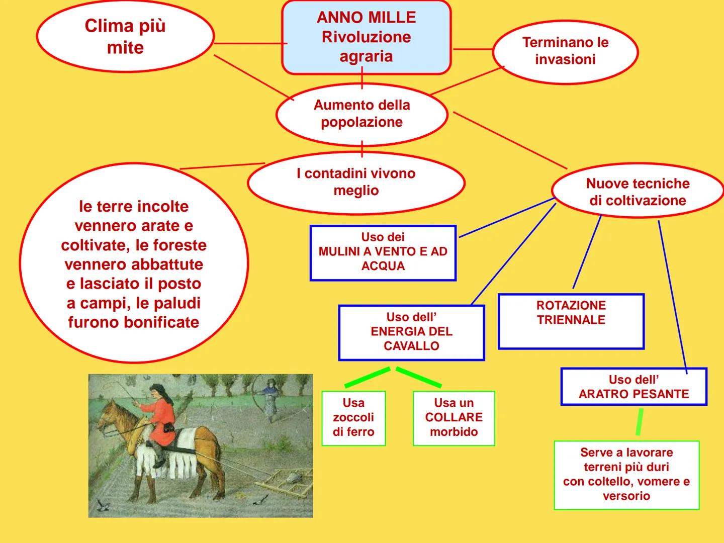 LA RINASCITA ECONOMICA
DELL'ANNO MILLE
1X12
IXI
112
1 Clima più
mite
le terre incolte
vennero arate e
coltivate, le foreste
vennero abbattut