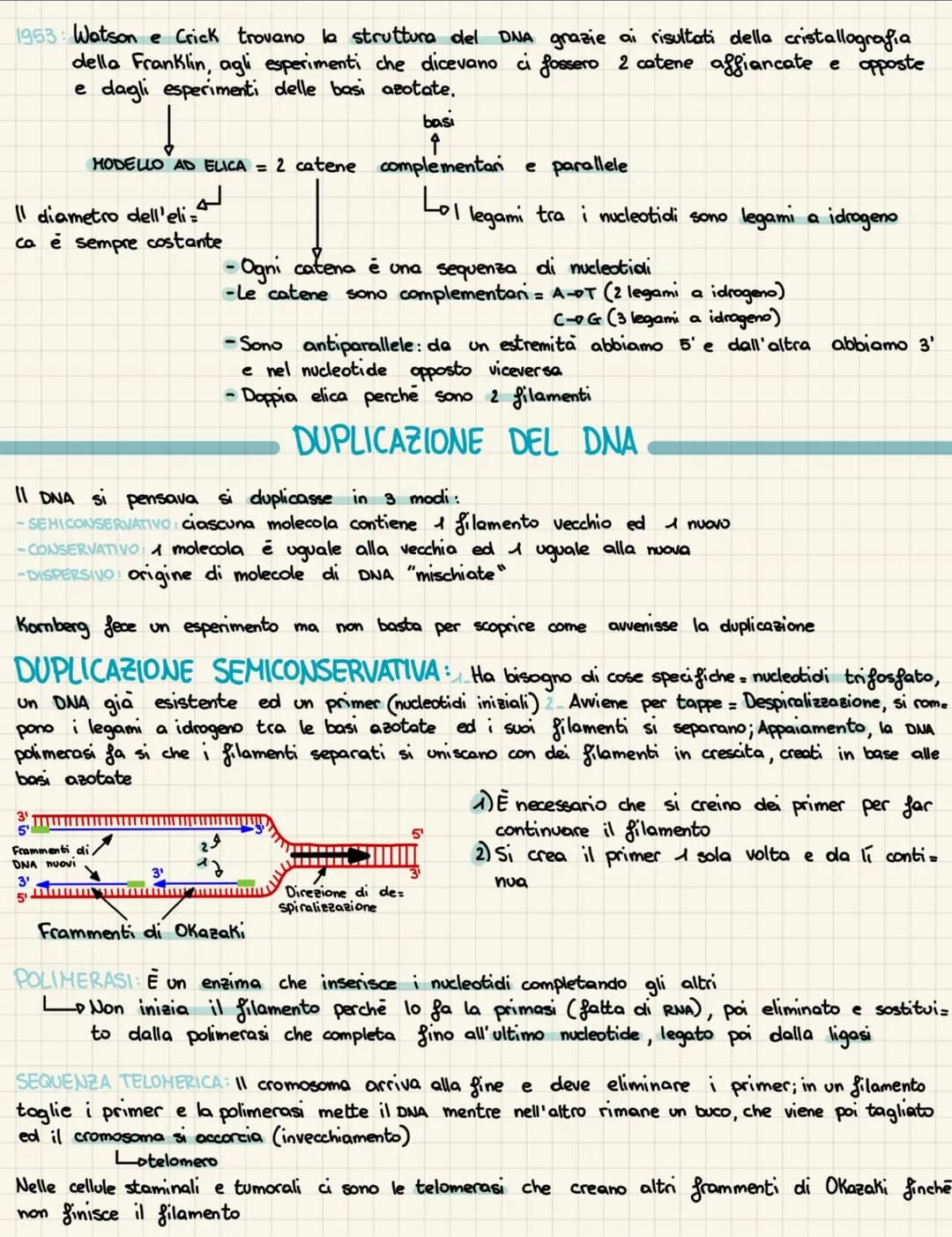 IL DNA
1869: Friedrich Hiesher scopre la nucleina
1920: Si scopre che i cromosomi sono fatti di DNA e proteine
1928: Griffith studia il batt