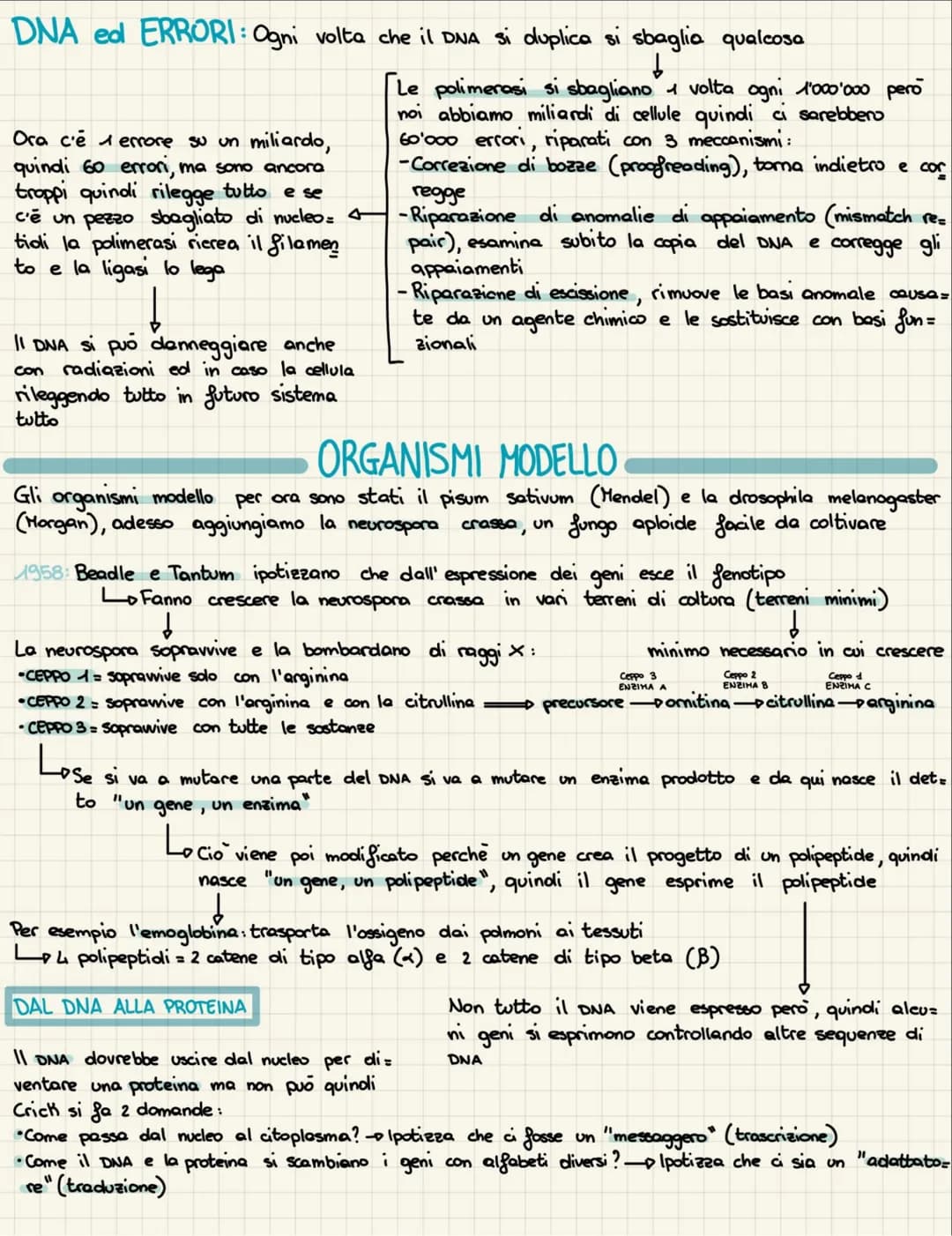 IL DNA
1869: Friedrich Hiesher scopre la nucleina
1920: Si scopre che i cromosomi sono fatti di DNA e proteine
1928: Griffith studia il batt