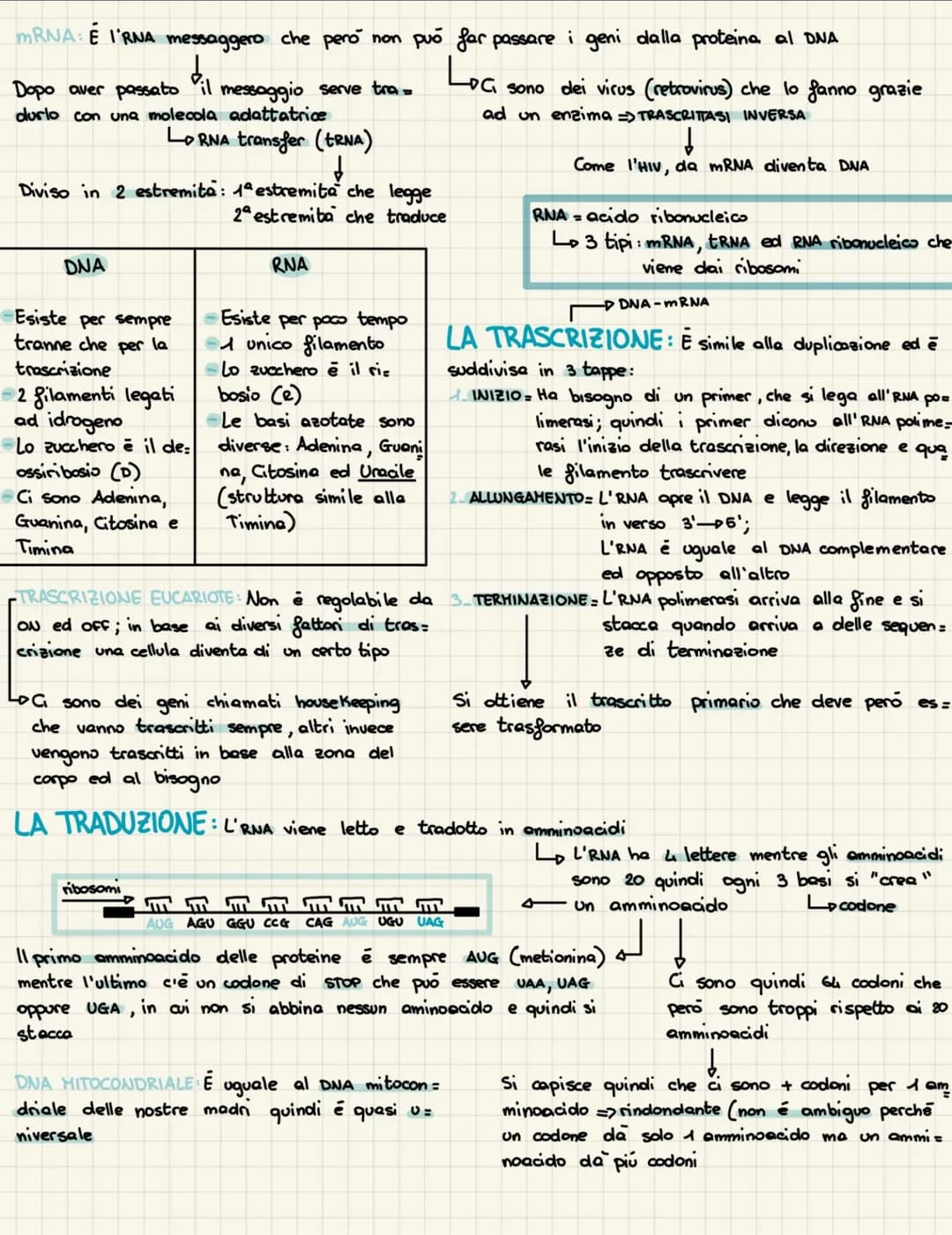 IL DNA
1869: Friedrich Hiesher scopre la nucleina
1920: Si scopre che i cromosomi sono fatti di DNA e proteine
1928: Griffith studia il batt