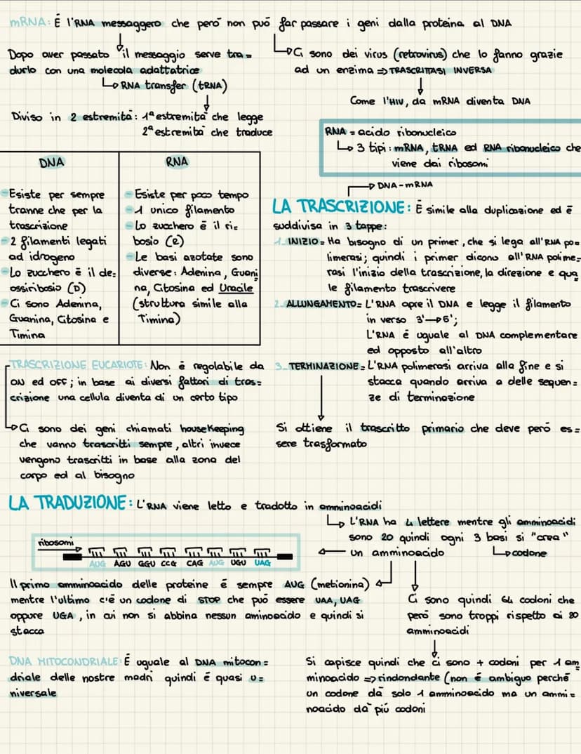 IL DNA
1869: Friedrich Hiesher scopre la nucleina
1920: Si scopre che i cromosomi sono fatti di DNA e proteine
1928: Griffith studia il batt