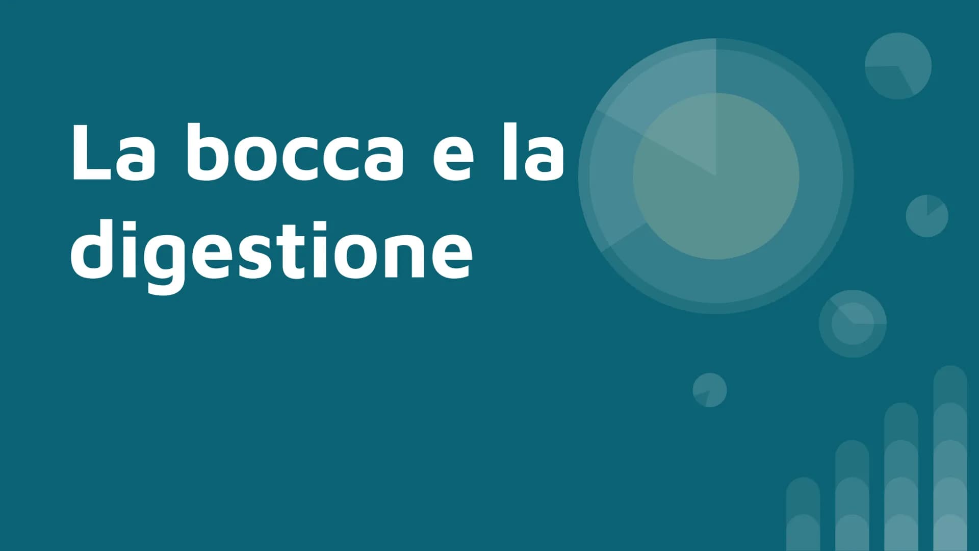 La bocca e la
digestione Da cosa è composto:
➜ bocca
→➜ faringe
→ esofago
➜ fegato
➜ stomaco
➜ pancreas
➜ intestino tenue
➜ intestino crasso