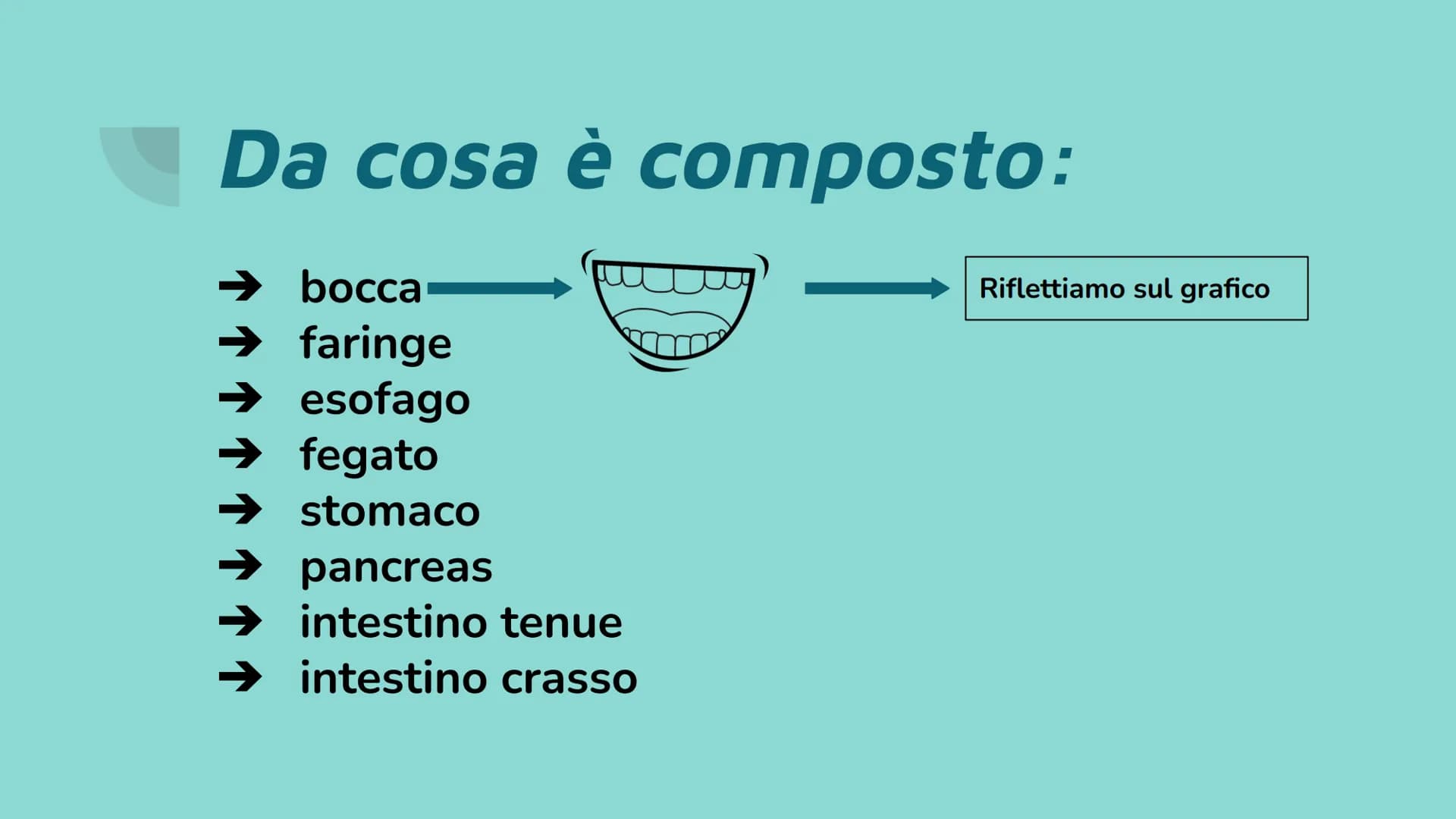 La bocca e la
digestione Da cosa è composto:
➜ bocca
→➜ faringe
→ esofago
➜ fegato
➜ stomaco
➜ pancreas
➜ intestino tenue
➜ intestino crasso