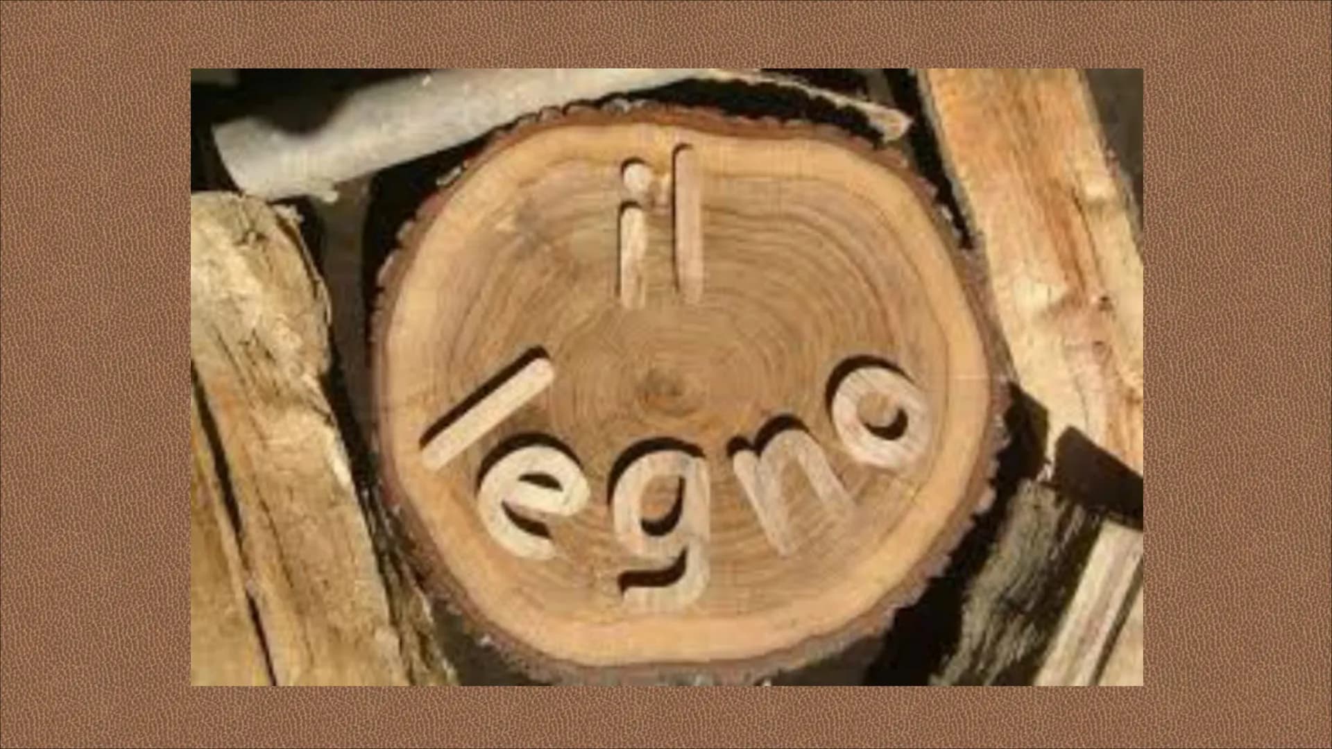 egn RISORSA NATURALE CHE L'UOMO
UTILIZZA DIRETTAMENTE PER
SODDISFARE I SUOI BISOGNI CIO' CHE SI RICAVA DAL TRONCO DEGLI
ALBERI SI DEFINISCE 