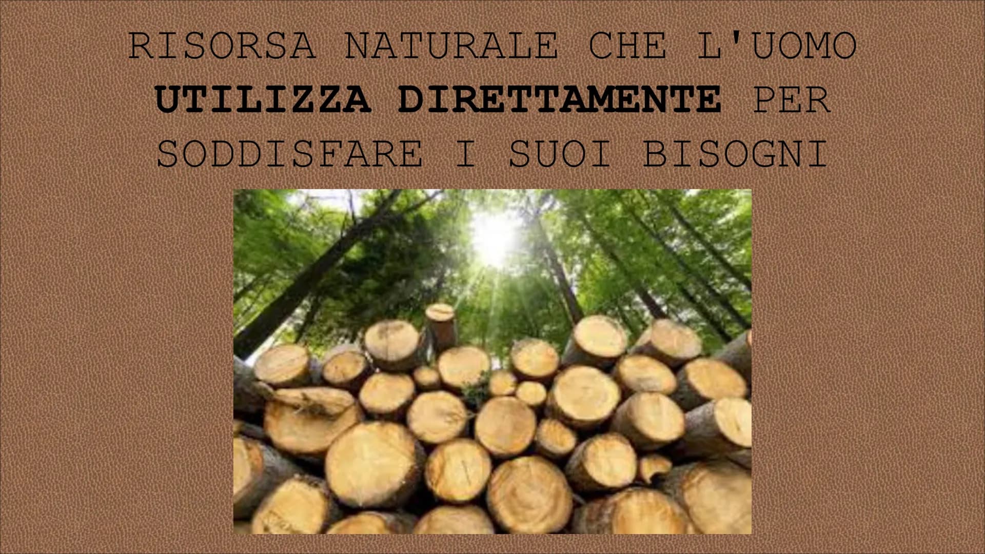 egn RISORSA NATURALE CHE L'UOMO
UTILIZZA DIRETTAMENTE PER
SODDISFARE I SUOI BISOGNI CIO' CHE SI RICAVA DAL TRONCO DEGLI
ALBERI SI DEFINISCE 