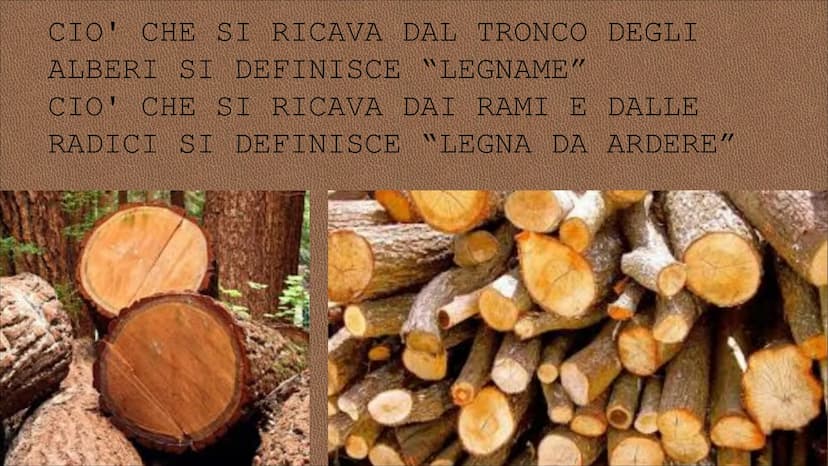egn RISORSA NATURALE CHE L'UOMO
UTILIZZA DIRETTAMENTE PER
SODDISFARE I SUOI BISOGNI CIO' CHE SI RICAVA DAL TRONCO DEGLI
ALBERI SI DEFINISCE 
