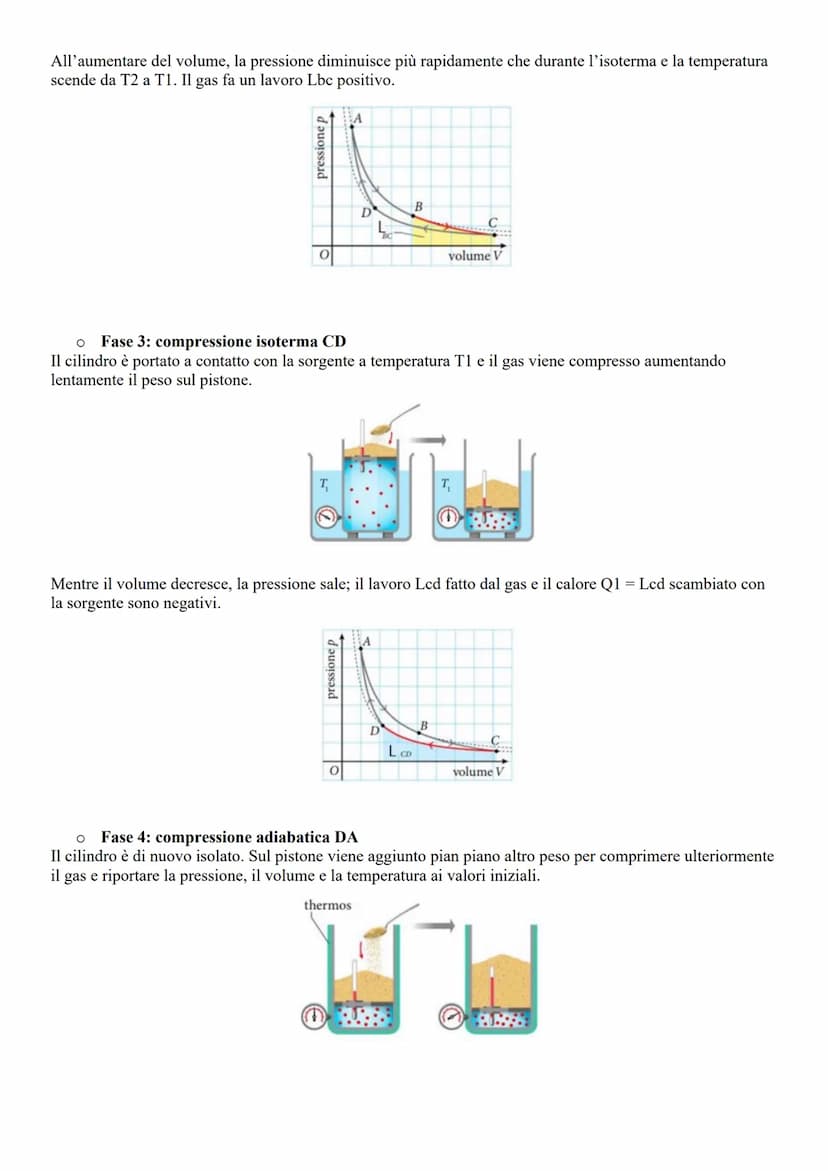 La termodinamica
ano a
Le forze intermolecolari e l'energia potenziale
Le molecole interagiscono tra di loro tramite forze di naturale elett