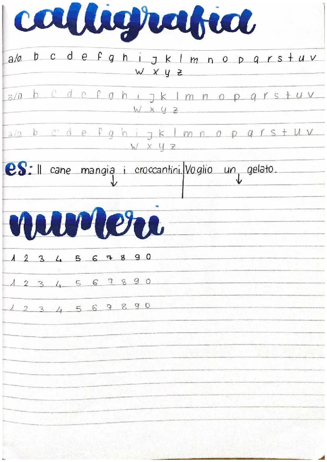ESERCIZI PER CALLIGRAFIA 