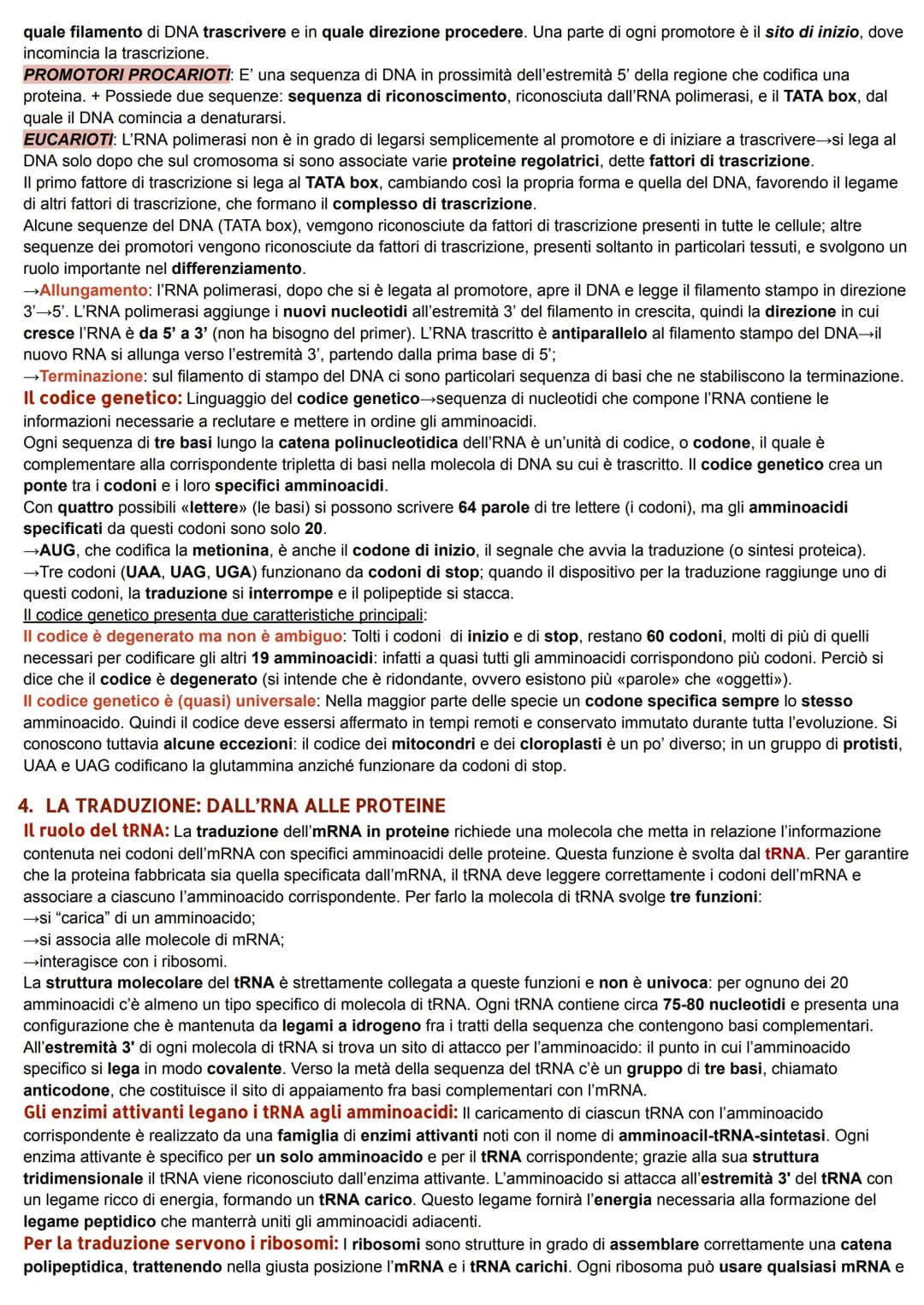 DAL DNA ALLE PROTEINE
1. LO STUDIO DELLA RELAZIONE TRA GENI E PROTEINE
La relazione tra geni ed enzimi: I genetisti statunitensi George W. B