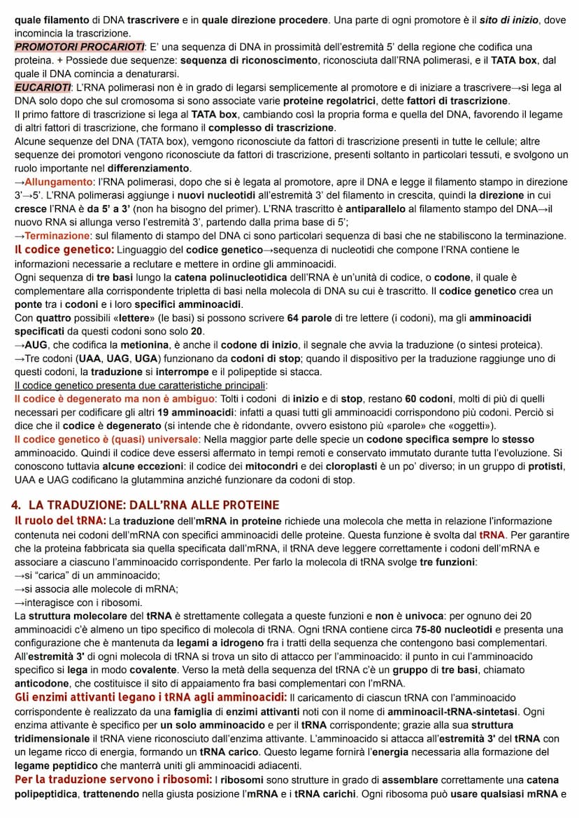 DAL DNA ALLE PROTEINE
1. LO STUDIO DELLA RELAZIONE TRA GENI E PROTEINE
La relazione tra geni ed enzimi: I genetisti statunitensi George W. B