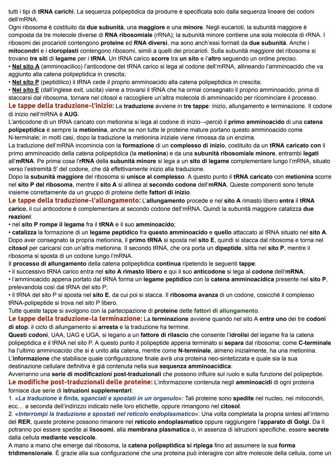 DAL DNA ALLE PROTEINE
1. LO STUDIO DELLA RELAZIONE TRA GENI E PROTEINE
La relazione tra geni ed enzimi: I genetisti statunitensi George W. B