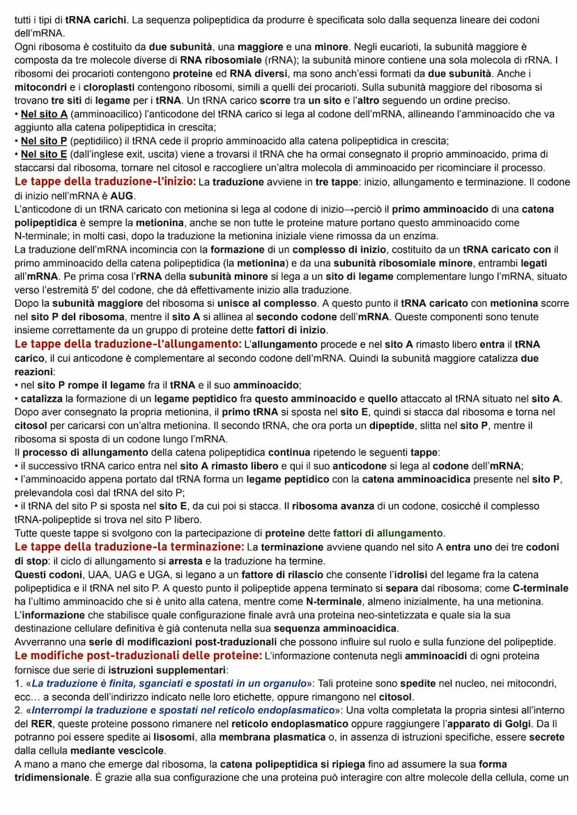 DAL DNA ALLE PROTEINE
1. LO STUDIO DELLA RELAZIONE TRA GENI E PROTEINE
La relazione tra geni ed enzimi: I genetisti statunitensi George W. B