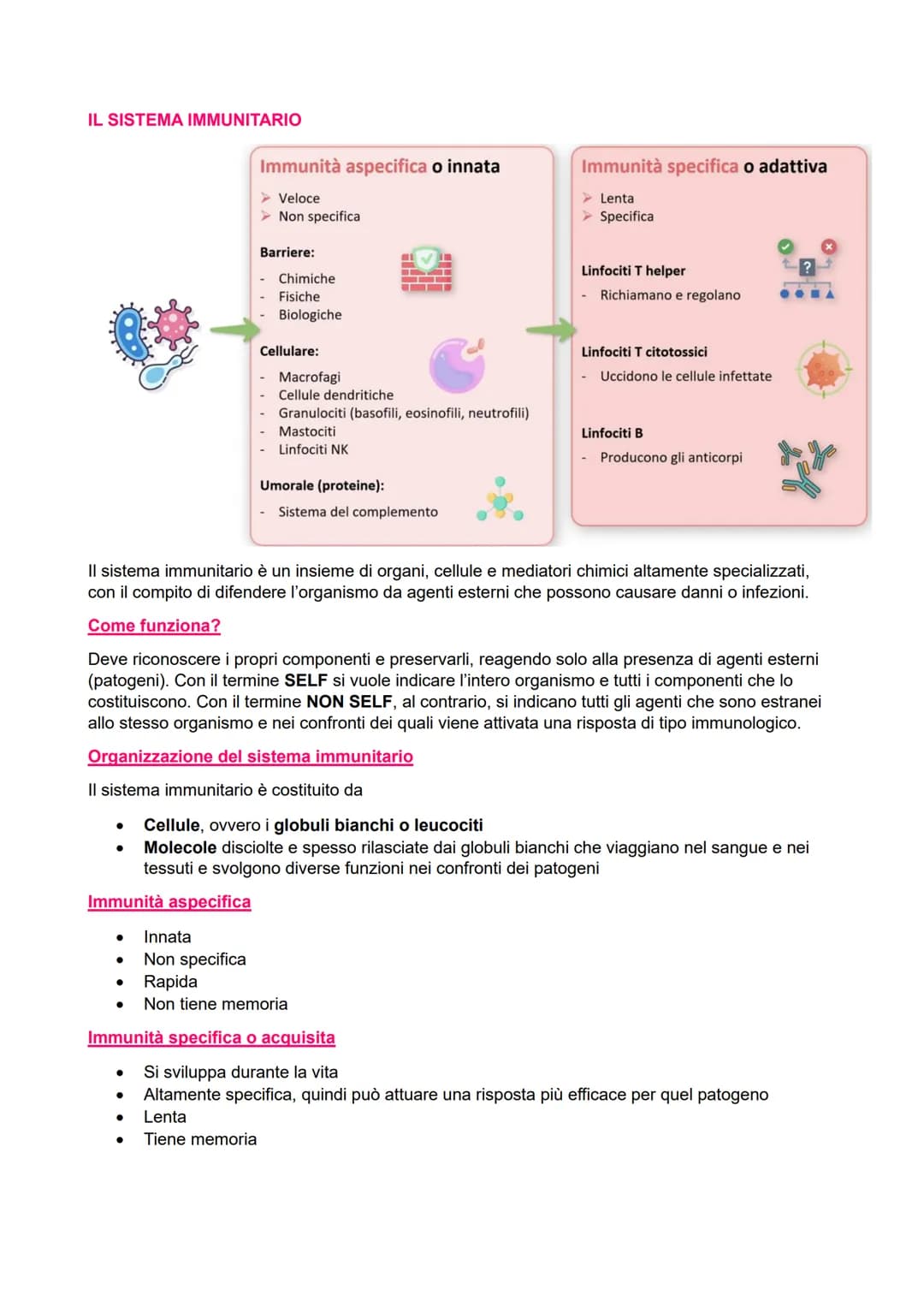 IL SISTEMA IMMUNITARIO
●
●
Immunità aspecifica o innata
> Veloce
●
Non specifica
Barriere:
- Chimiche
Fisiche
Biologiche
●
Cellulare:
●
Macr
