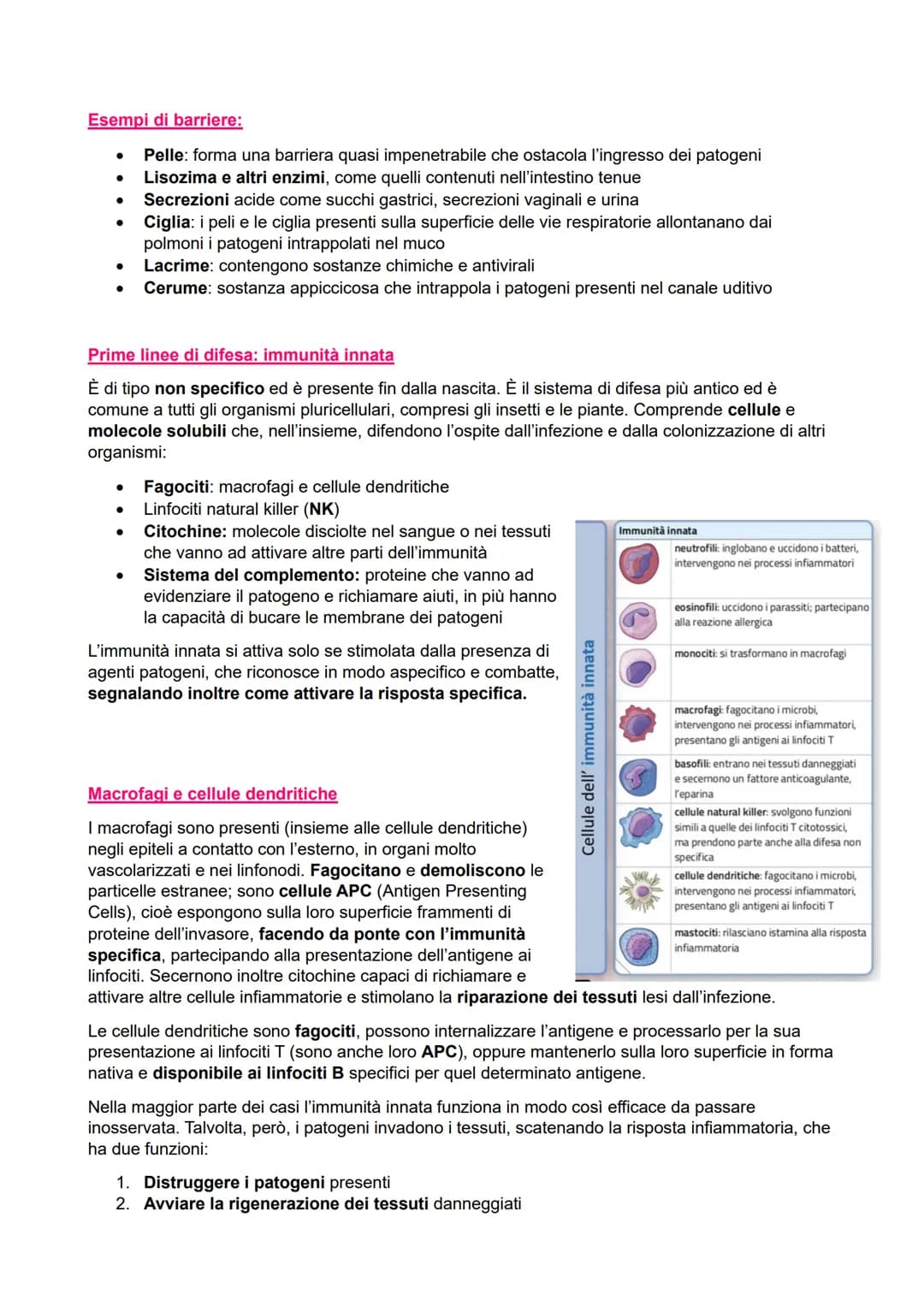 IL SISTEMA IMMUNITARIO
●
●
Immunità aspecifica o innata
> Veloce
●
Non specifica
Barriere:
- Chimiche
Fisiche
Biologiche
●
Cellulare:
●
Macr