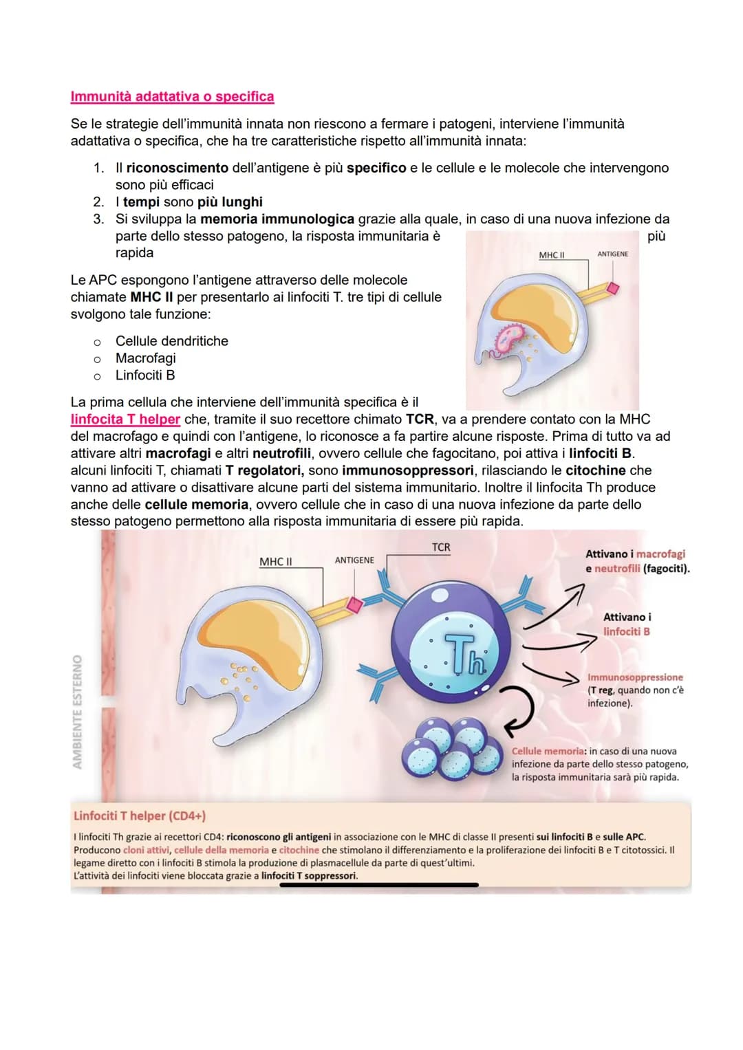 IL SISTEMA IMMUNITARIO
●
●
Immunità aspecifica o innata
> Veloce
●
Non specifica
Barriere:
- Chimiche
Fisiche
Biologiche
●
Cellulare:
●
Macr