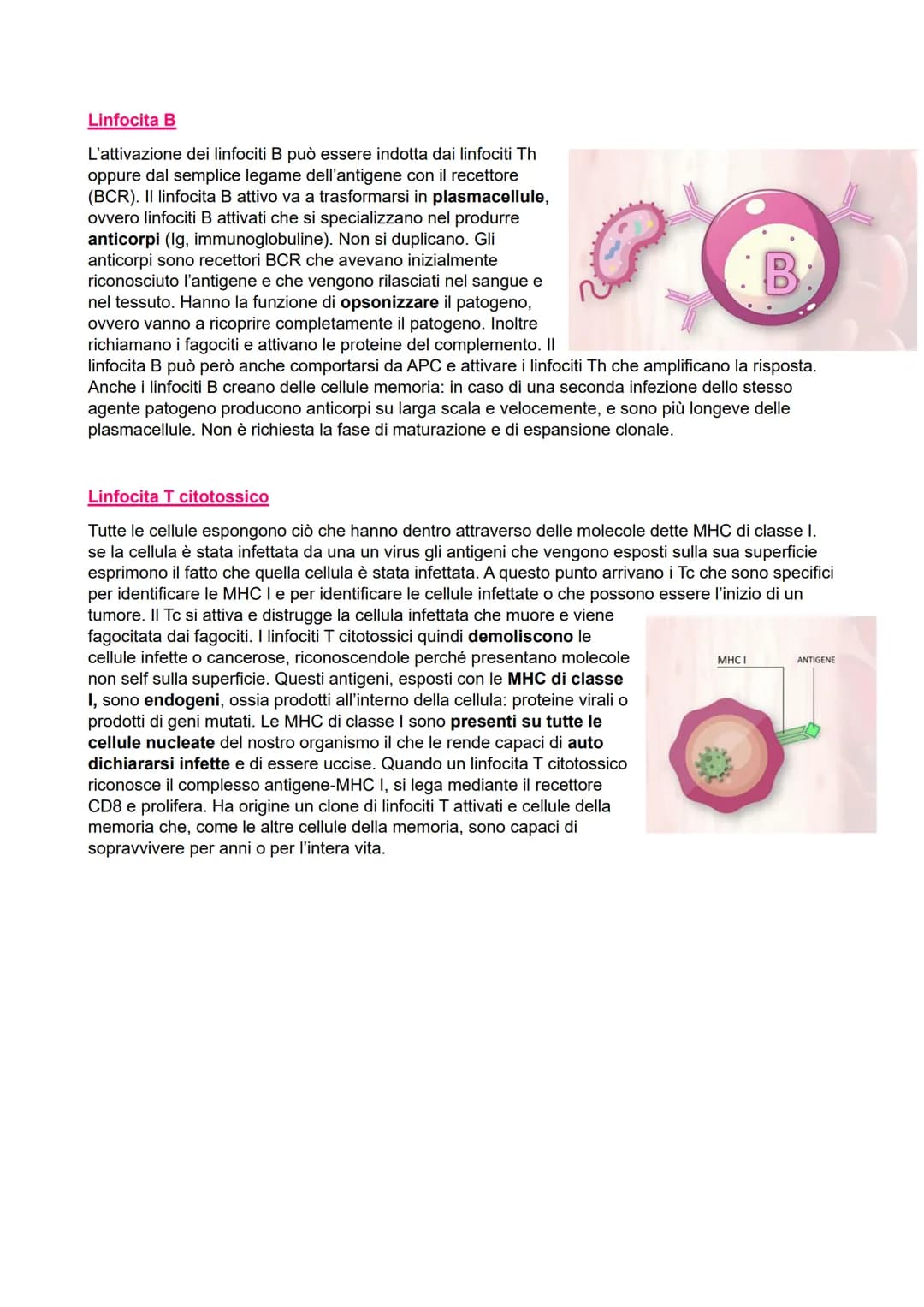 IL SISTEMA IMMUNITARIO
●
●
Immunità aspecifica o innata
> Veloce
●
Non specifica
Barriere:
- Chimiche
Fisiche
Biologiche
●
Cellulare:
●
Macr