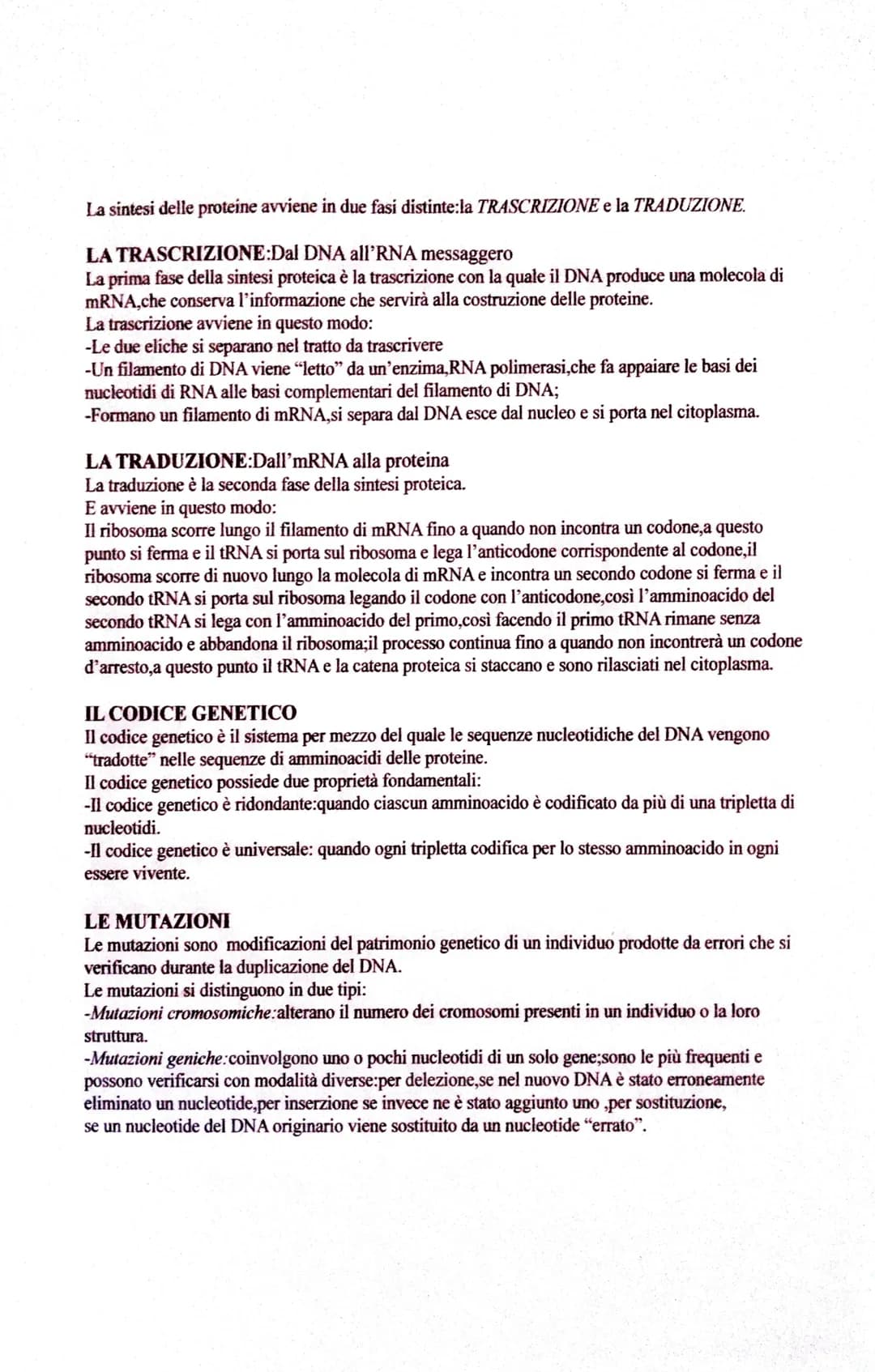 Acidi Nucleici: PDF, DNA e RNA - Spiegazione Semplice per Bambini