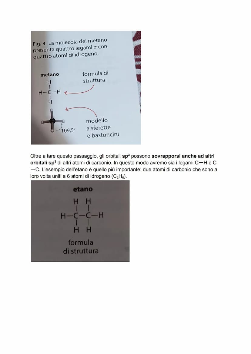 LA CHIMICA ORGANICA
Sin dall'antichità l'uomo ha differenziato gli organismi viventi da quelli non viventi:
per la prima categoria, l'uomo p