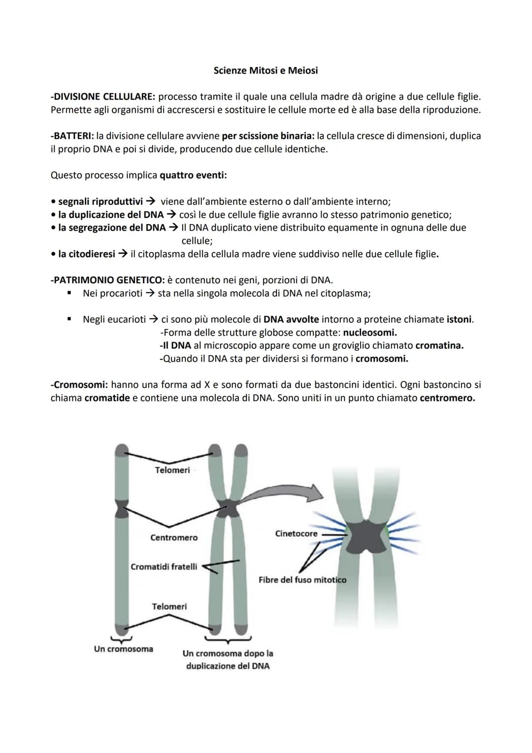 -DIVISIONE CELLULARE: processo tramite il quale una cellula madre dà origine a due cellule figlie.
Permette agli organismi di accrescersi e 