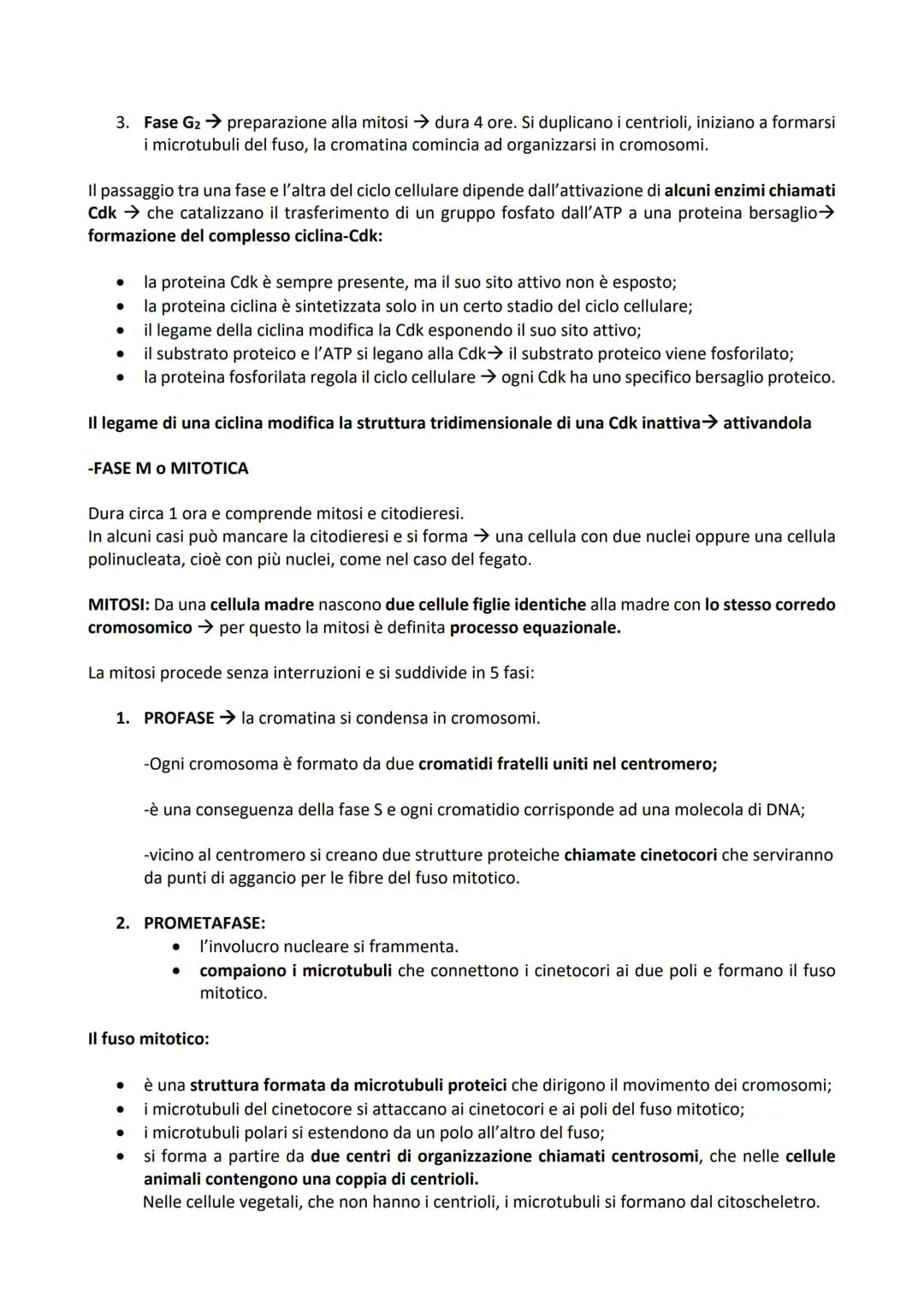 -DIVISIONE CELLULARE: processo tramite il quale una cellula madre dà origine a due cellule figlie.
Permette agli organismi di accrescersi e 