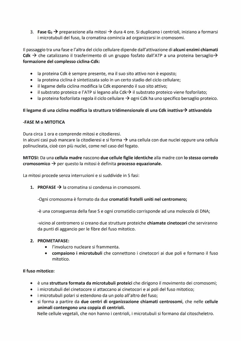 -DIVISIONE CELLULARE: processo tramite il quale una cellula madre dà origine a due cellule figlie.
Permette agli organismi di accrescersi e 