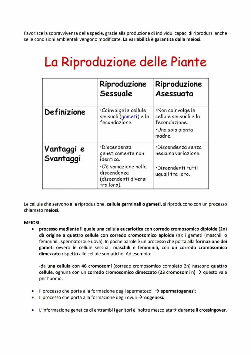 -DIVISIONE CELLULARE: processo tramite il quale una cellula madre dà origine a due cellule figlie.
Permette agli organismi di accrescersi e 