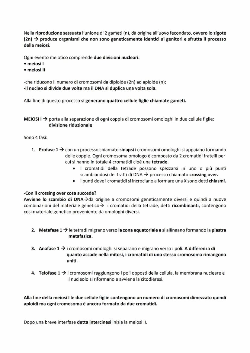 -DIVISIONE CELLULARE: processo tramite il quale una cellula madre dà origine a due cellule figlie.
Permette agli organismi di accrescersi e 