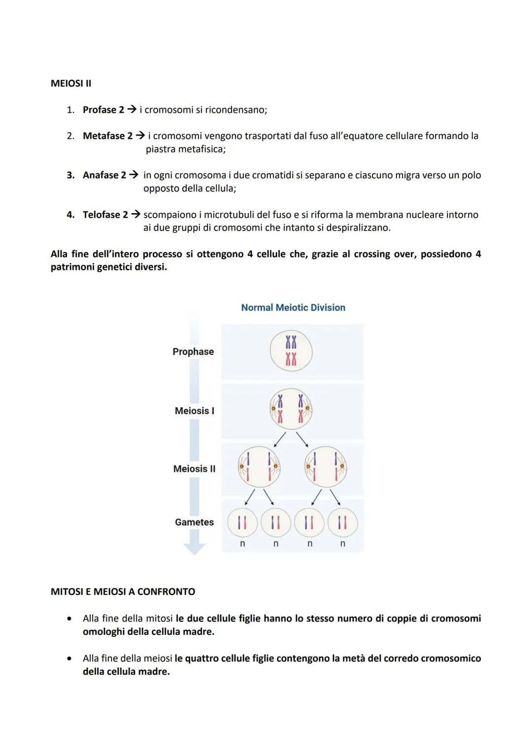 -DIVISIONE CELLULARE: processo tramite il quale una cellula madre dà origine a due cellule figlie.
Permette agli organismi di accrescersi e 