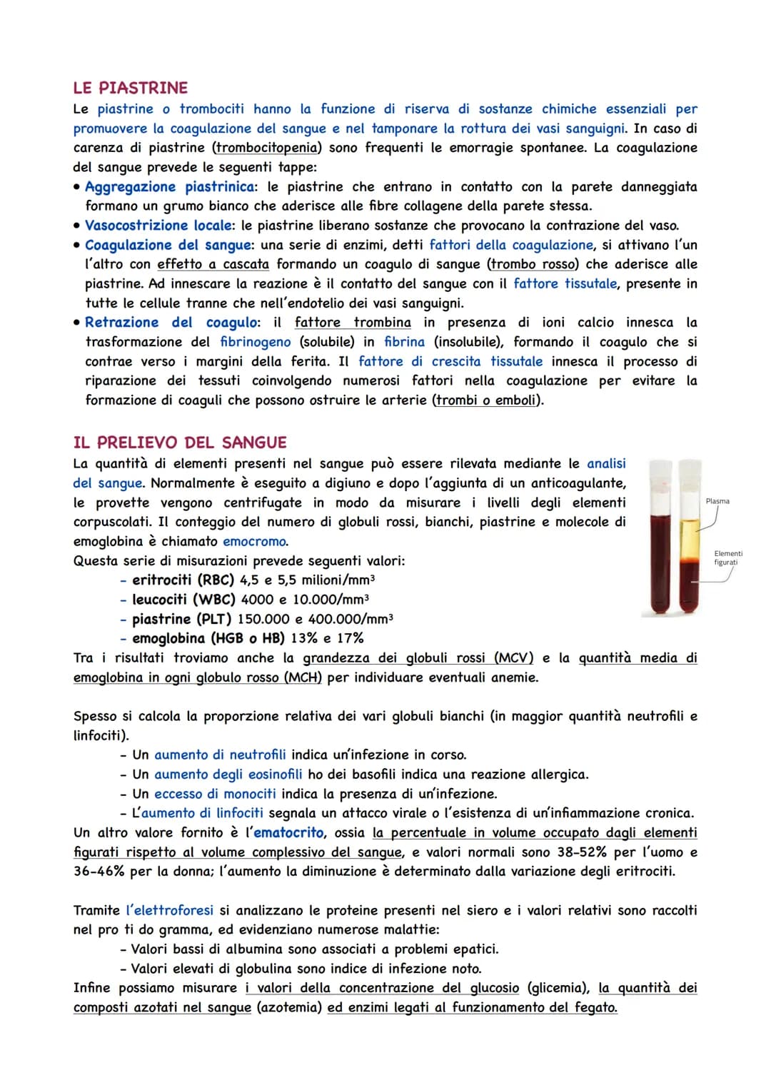 La Circolazione Sanguigna
IL CIRCOLO SANGUIGNO
L'apparato circolatorio ha il compito di portare il sangue a tutti gli organi e tessuti. Il t