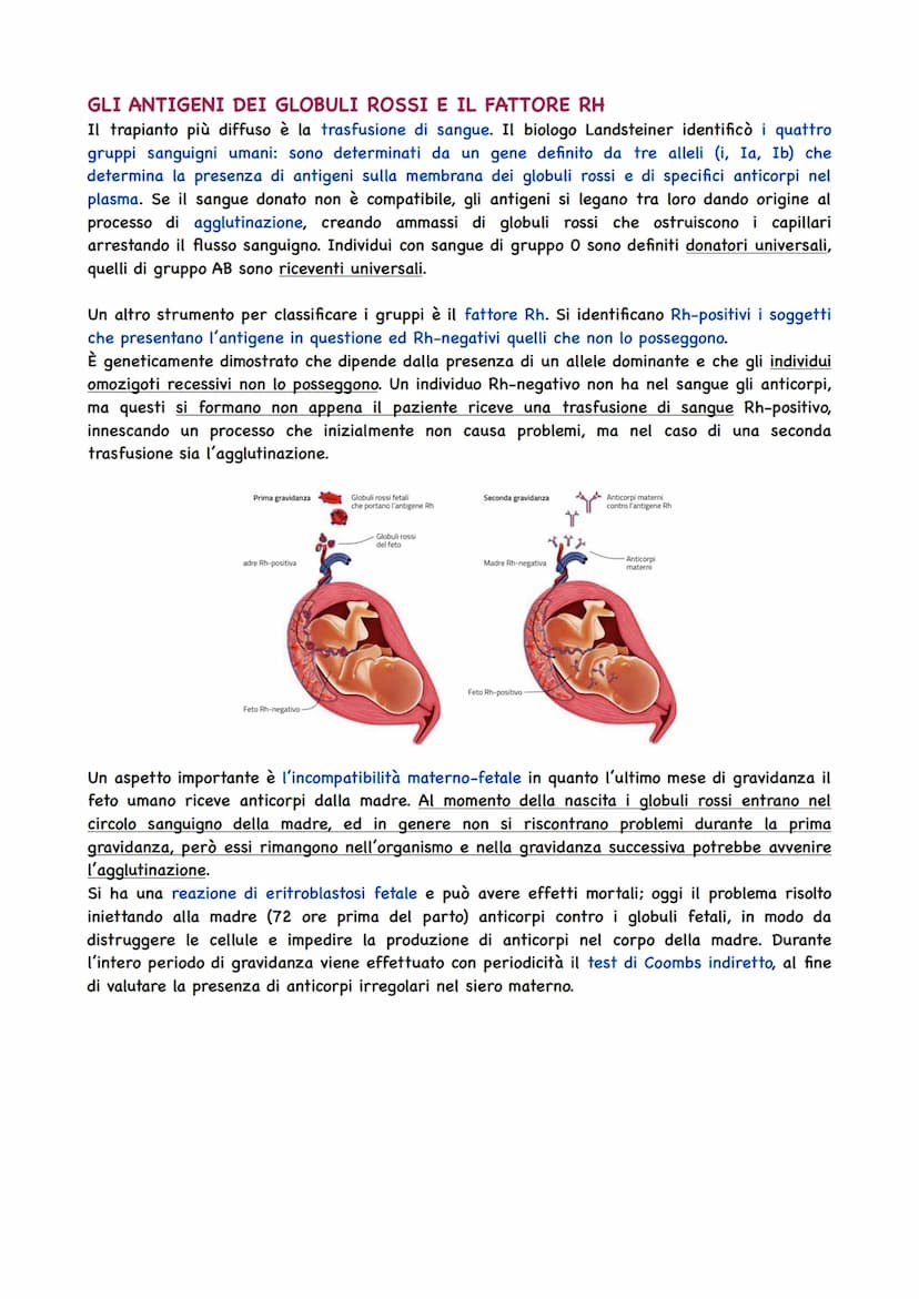 La Circolazione Sanguigna
IL CIRCOLO SANGUIGNO
L'apparato circolatorio ha il compito di portare il sangue a tutti gli organi e tessuti. Il t