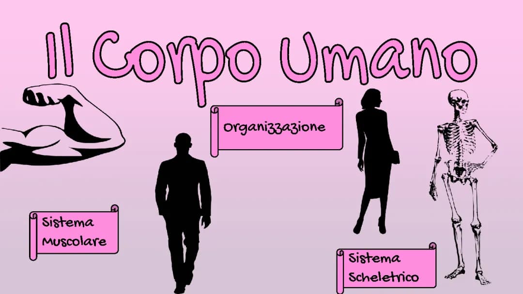 Il corpo umano PowerPoint