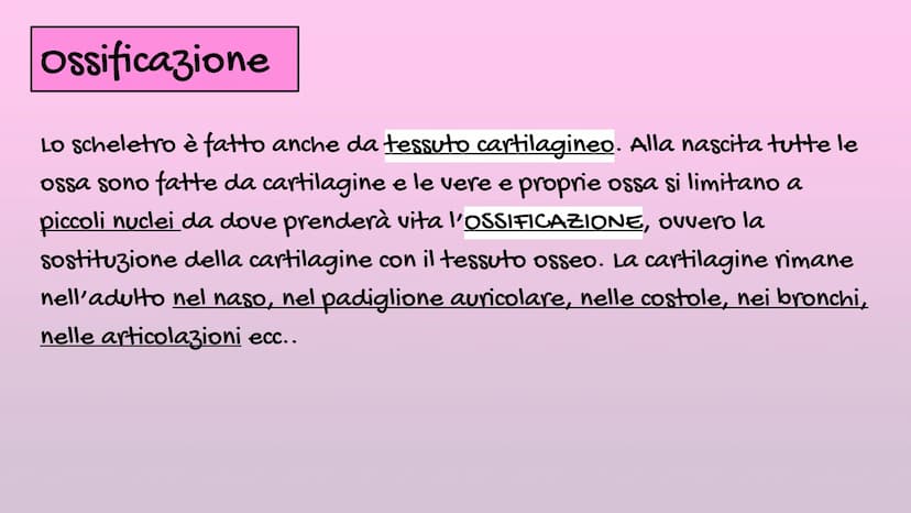 Il Corpo Umano
Sistema
Muscolare
organizzazione
Sistema
Scheletrico Le parti del corpo
E' diviso in: CAPO→ Organi di senso, naso, bocca, cra