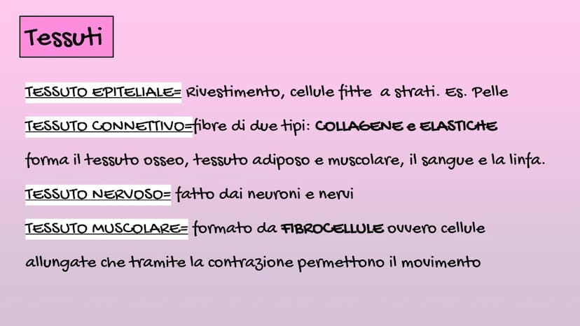 Il Corpo Umano
Sistema
Muscolare
organizzazione
Sistema
Scheletrico Le parti del corpo
E' diviso in: CAPO→ Organi di senso, naso, bocca, cra